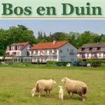 Bos en Duin